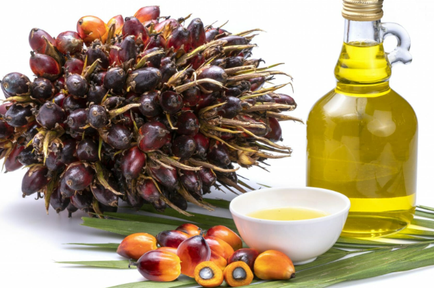 palm oil.png