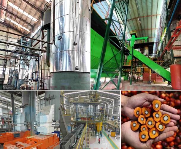 palm-oil-mill.jpg