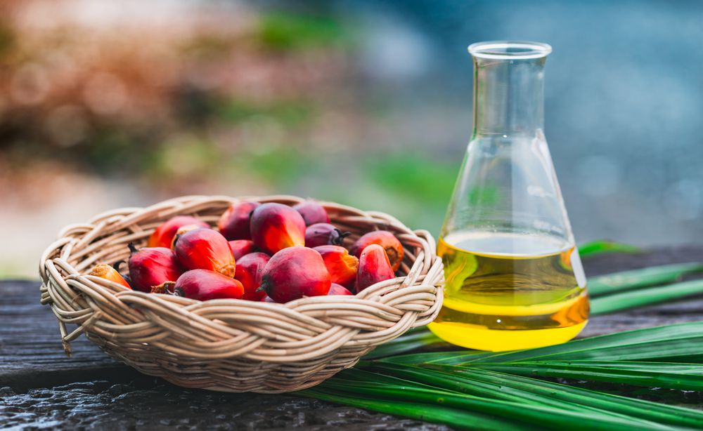 palm-oil-pic.jpg