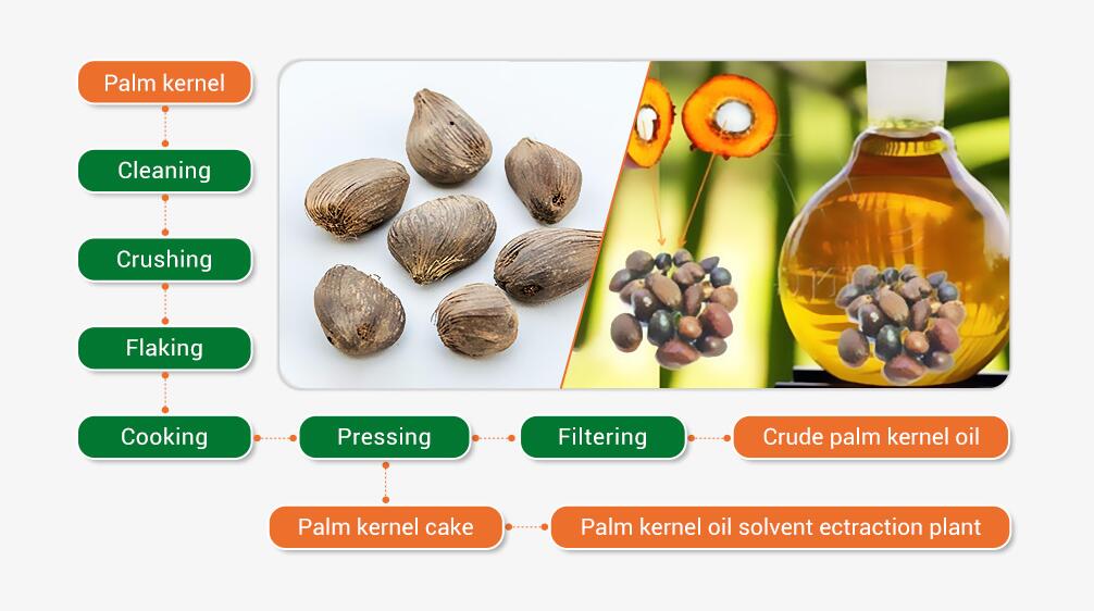 palm-kernel-oil-processing.jpg