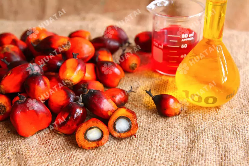 difference-between-rbd-palm-oil-and-palm-olein.jpg