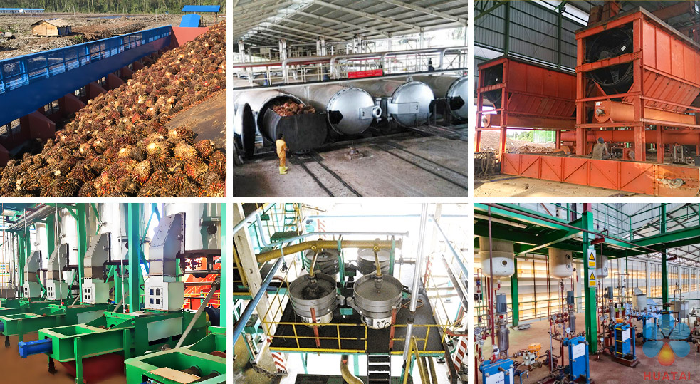 palm-oil-mill-solution.jpg