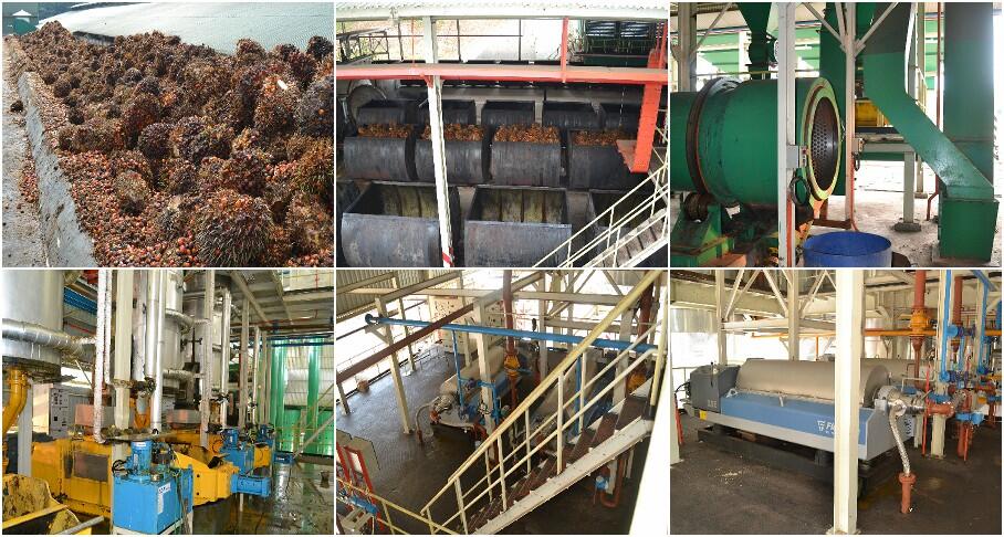 palm-oil-mill-process.jpg