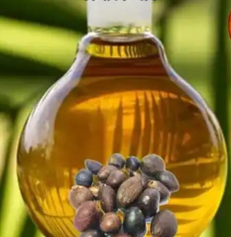 What's the difference between palm fruit oil and palm kernel oil?