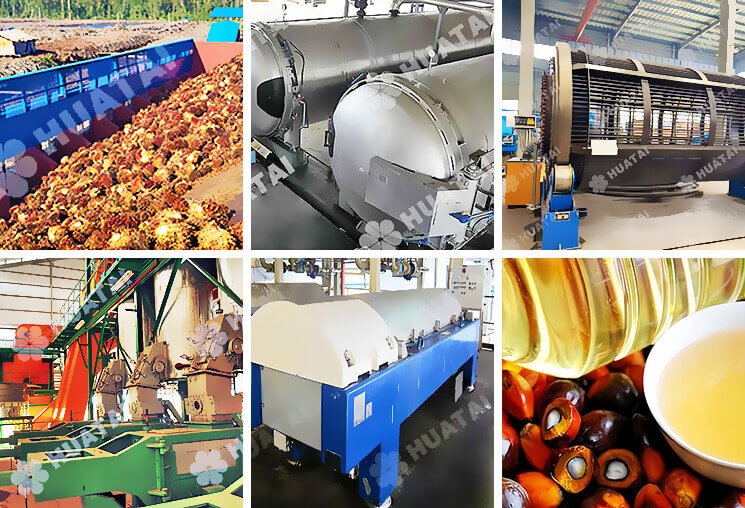 palm-oil-mill-plant.jpg